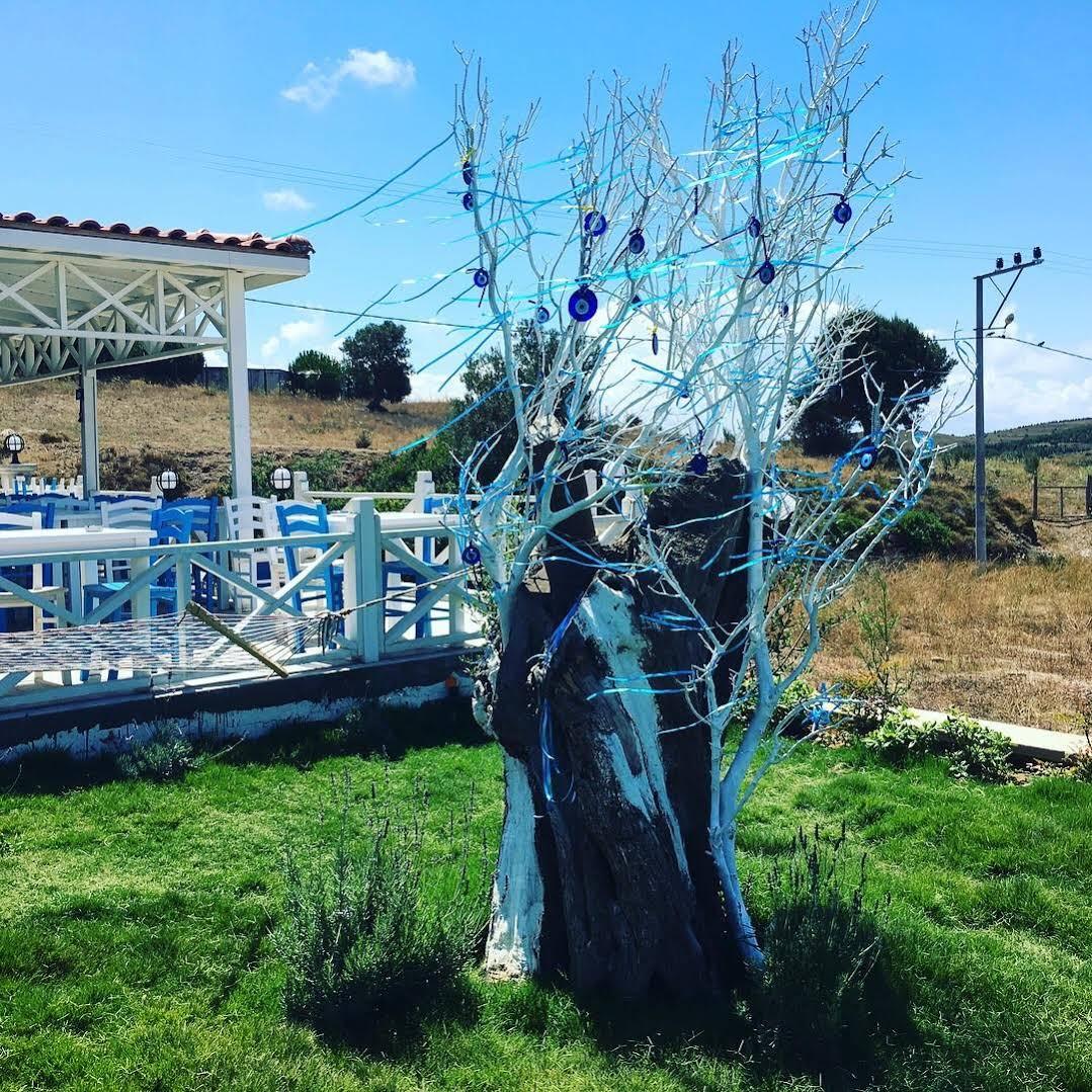 Mylos Hotel Bozcaada Luaran gambar